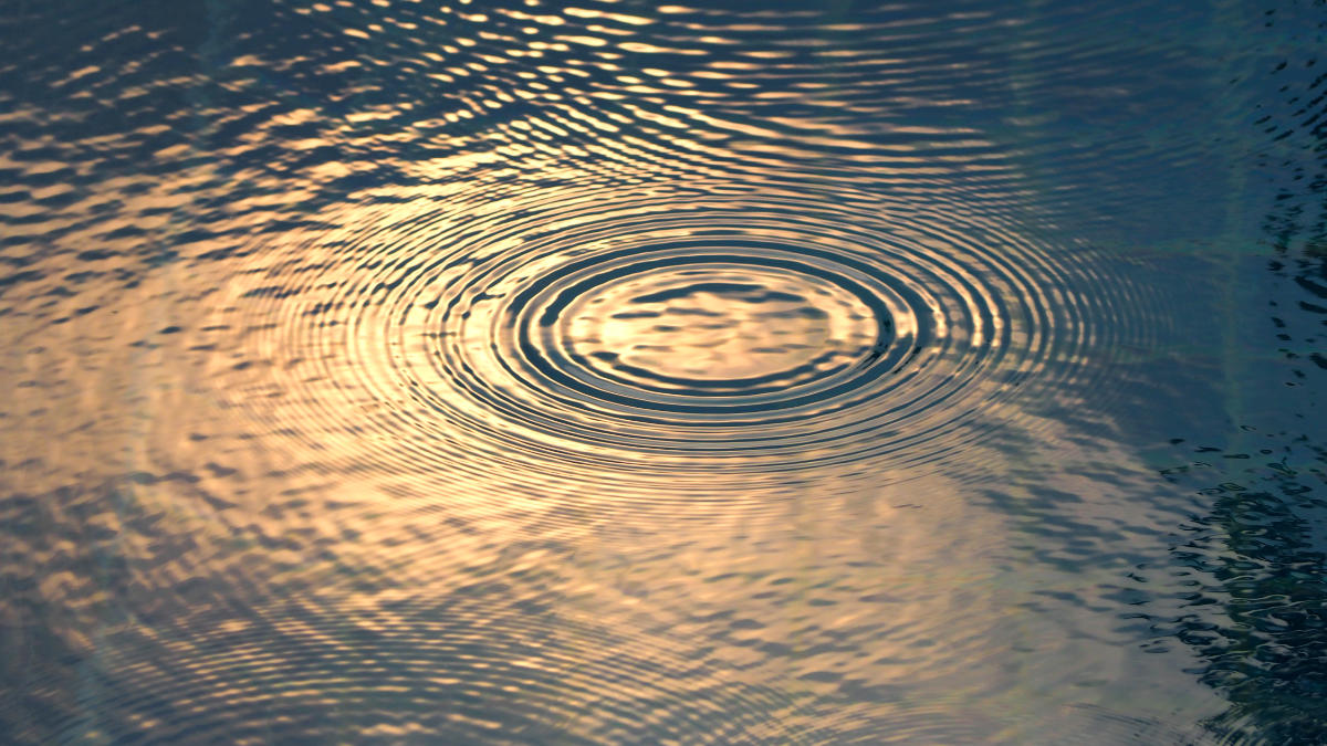 A droplet causes ripples along the water's surface.